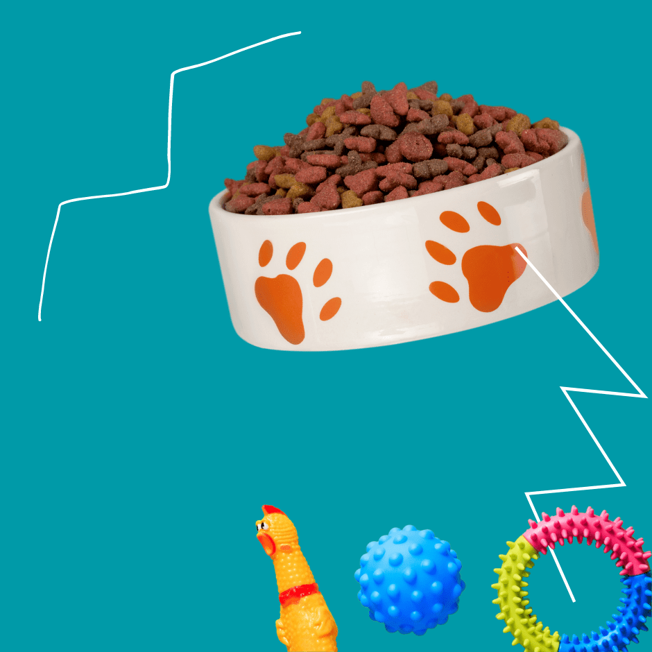 Зоомагазин